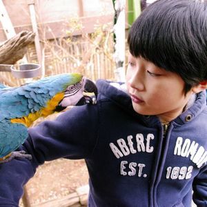 Meet your Posher, 思寰